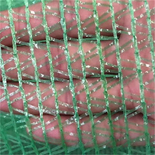 泓宸輝黑色大棚防曬網(wǎng) 蓋土綠網(wǎng)防塵 路面施工塑料網(wǎng)