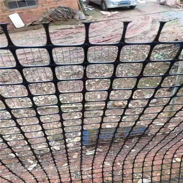 阻燃塑料養(yǎng)殖網(wǎng) 1.5米寬黑色家禽圍欄 塑料平網(wǎng)可定制尺寸