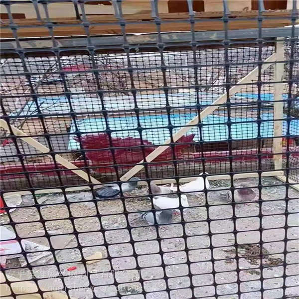 塑料材質(zhì)養(yǎng)殖用網(wǎng) 臨時(shí)防護(hù)網(wǎng)道路工程 聚乙烯修路雙向拉伸塑料網(wǎng)