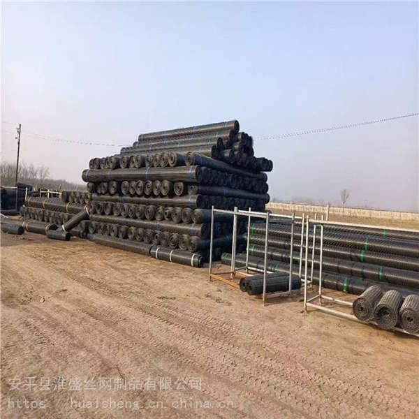 塑料養(yǎng)殖網裁剪 黑色300克土工格柵 圈果園圈地網泓宸輝